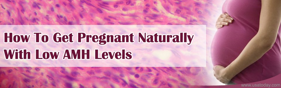 to get pregnant with low amh levels, what happens when amh is low, amh ...